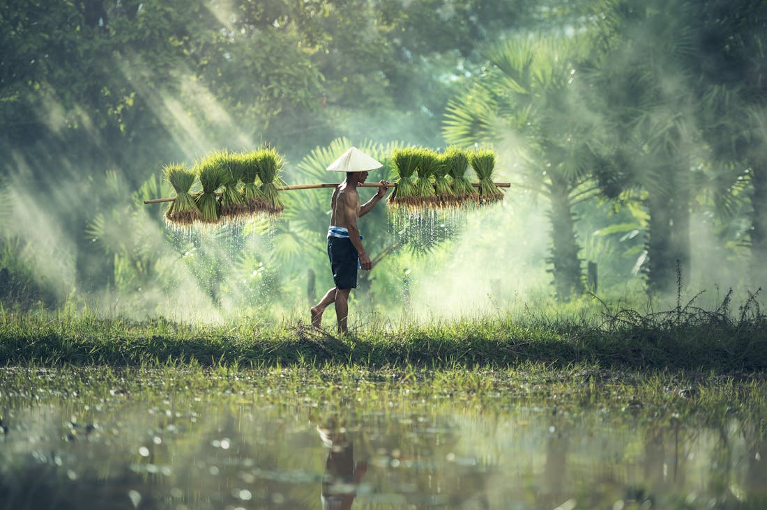 Sustainable Living Practices for a Healthier Planet and Life Image 3