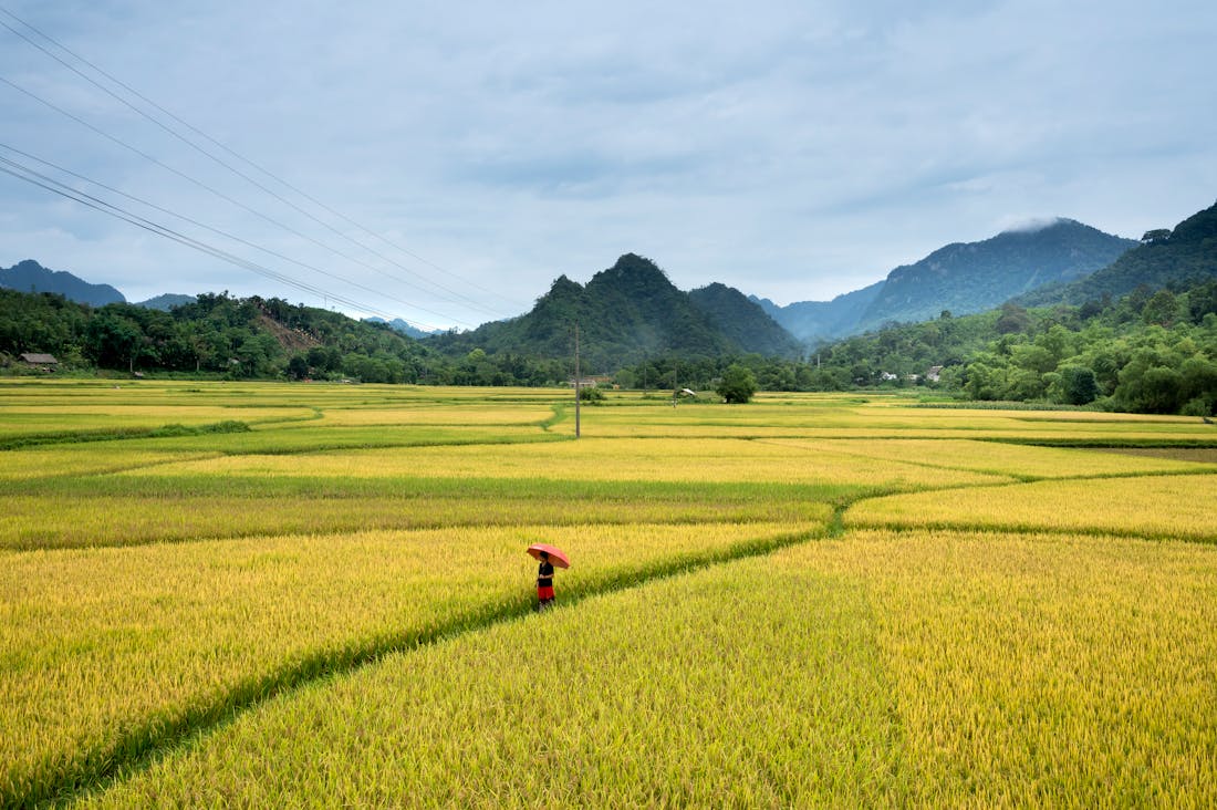 Wanderlust Unleashed: Transformative Travel Experiences to Enrich Your Life and Broaden Your Horizons Image 1