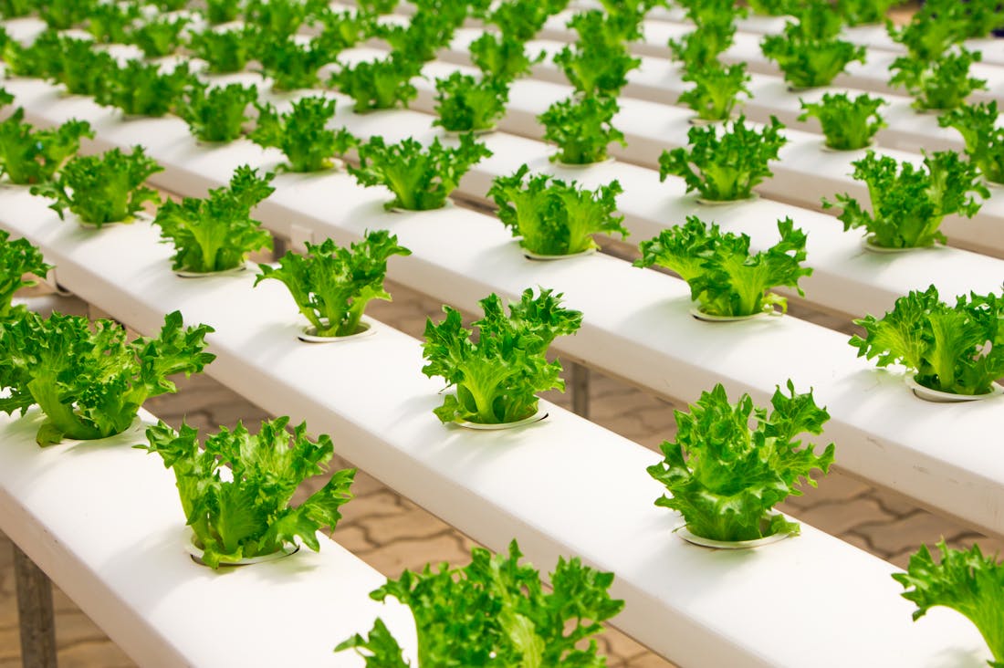Essential Strategies for Sustainable Lifestyle Choices Year-Round Image 2