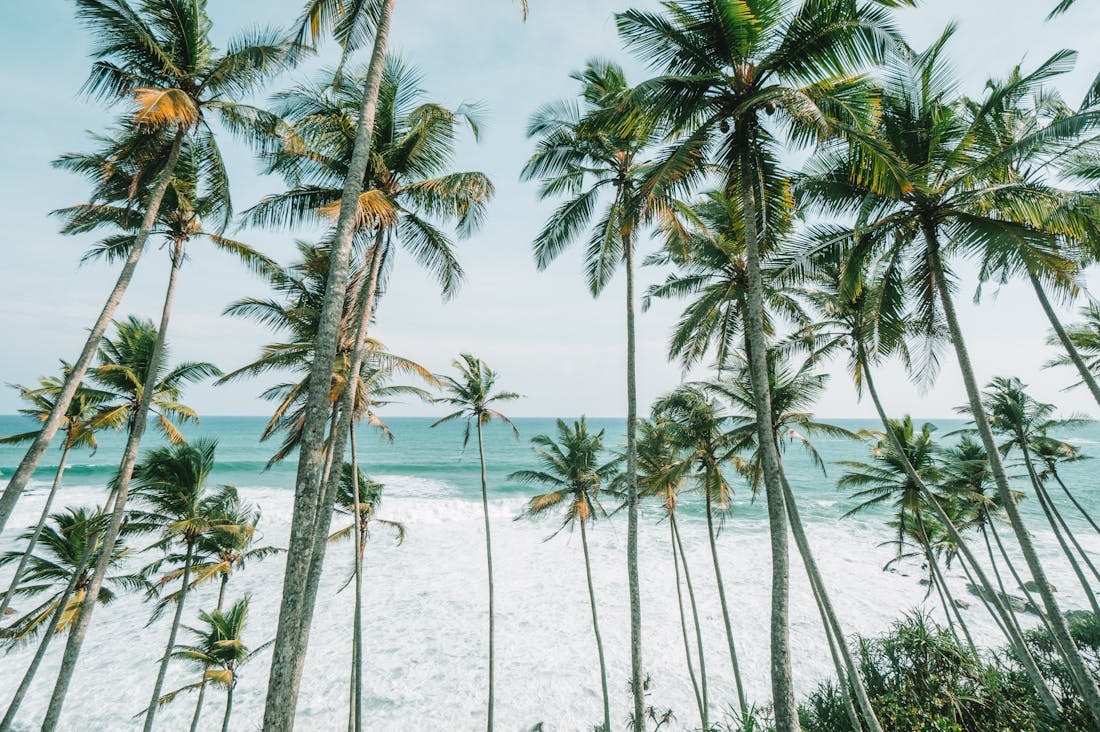 Smart Travel Hacks to Maximize Your Next Adventure Image 1