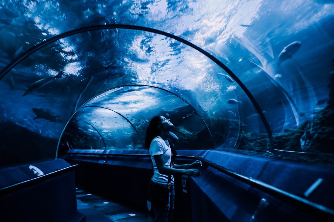 Enhancing Travel Experiences with Smart Planning and Local Insights Image 2