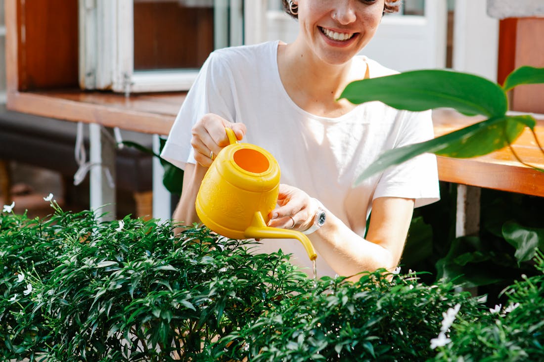 Home Maintenance Strategies for Long-Lasting Comfort Image 2