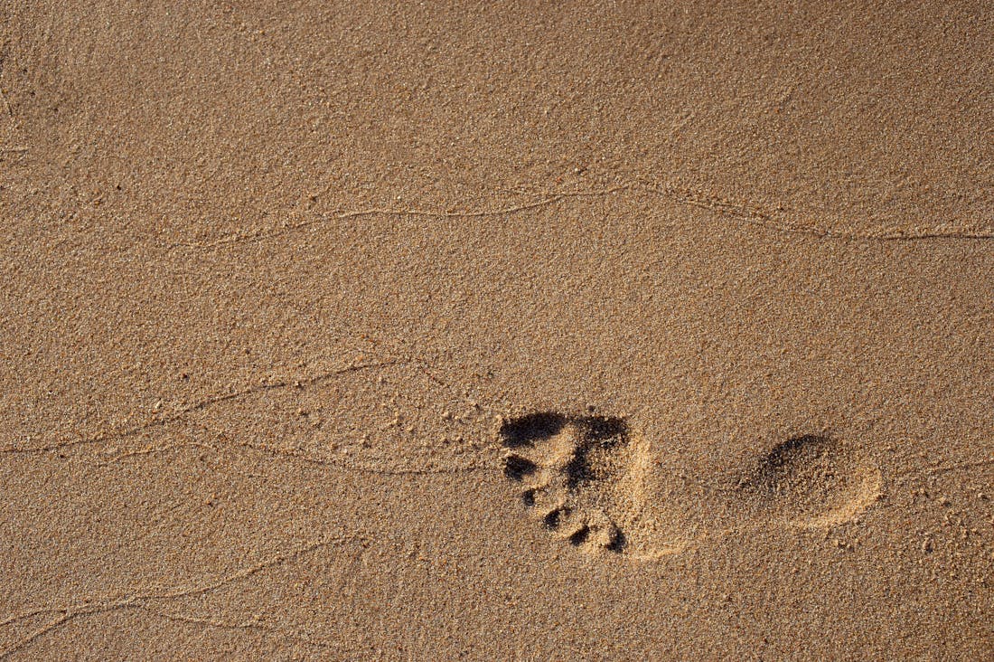 Transforming Travel: Strategies for Sustainable Journeys Image 3