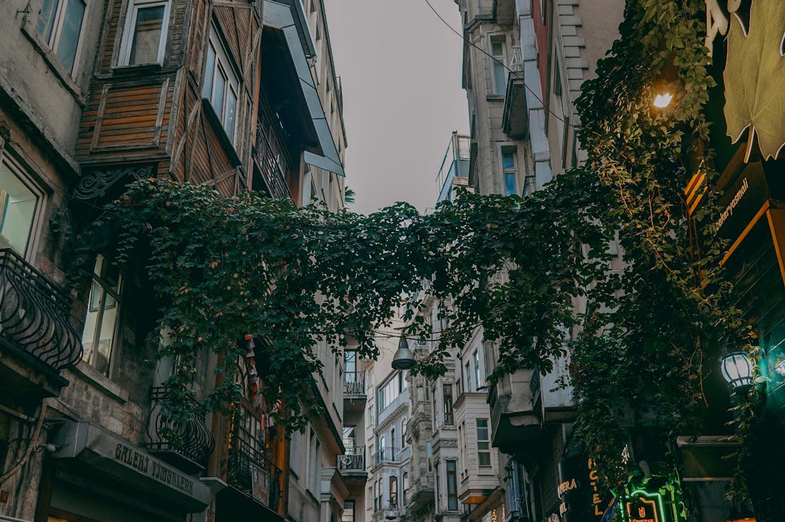 Redefining Adventure: Unique Travel Experiences Beyond the Norm Image 2