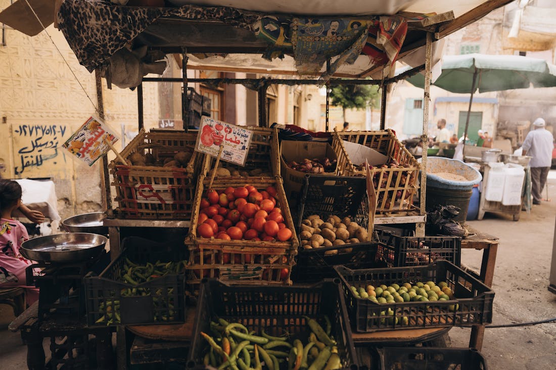 Traveling Sustainably: Making Eco-Friendly Choices on Your Adventures Image 3