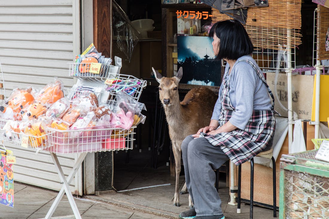 Elevating Your Road Trip Experience: Essential Tips for Memorable Travel Image 3