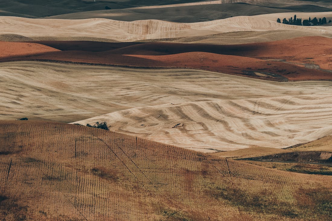 Navigating the World of Sustainable Auto Choices for Eco-Conscious Drivers Image 2