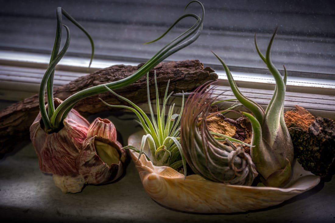 Refreshing Approaches to Sustainable Living in Modern Times Image 3
