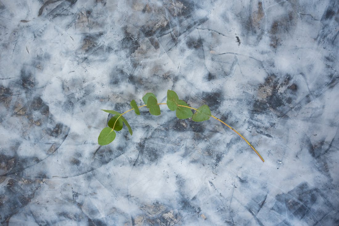 Sustainable Living Practices that Benefit Both You and the Planet Image 1