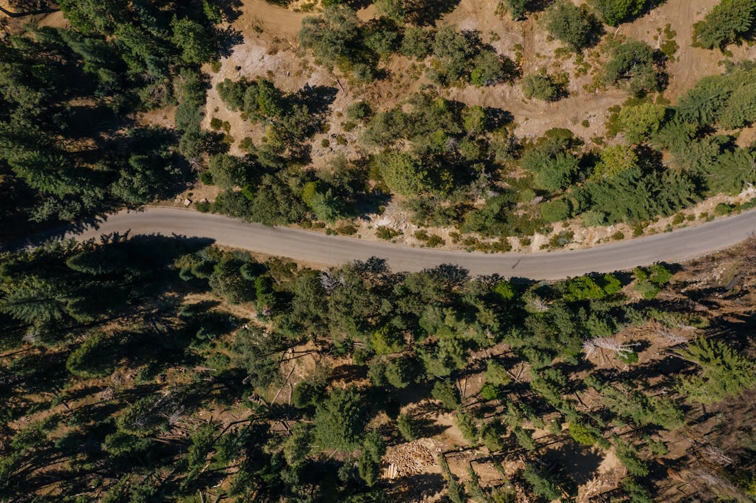 Road Trips Redefined: How to Plan Unforgettable Adventures in the Age of Sustainable Travel Image 1