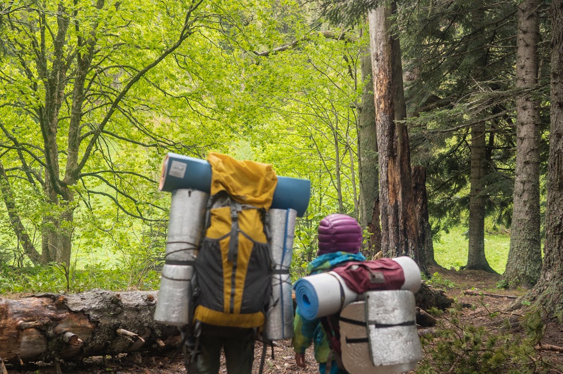 Finding Balance on the Road: Tips for Stress-Free Travel with Family Image 2