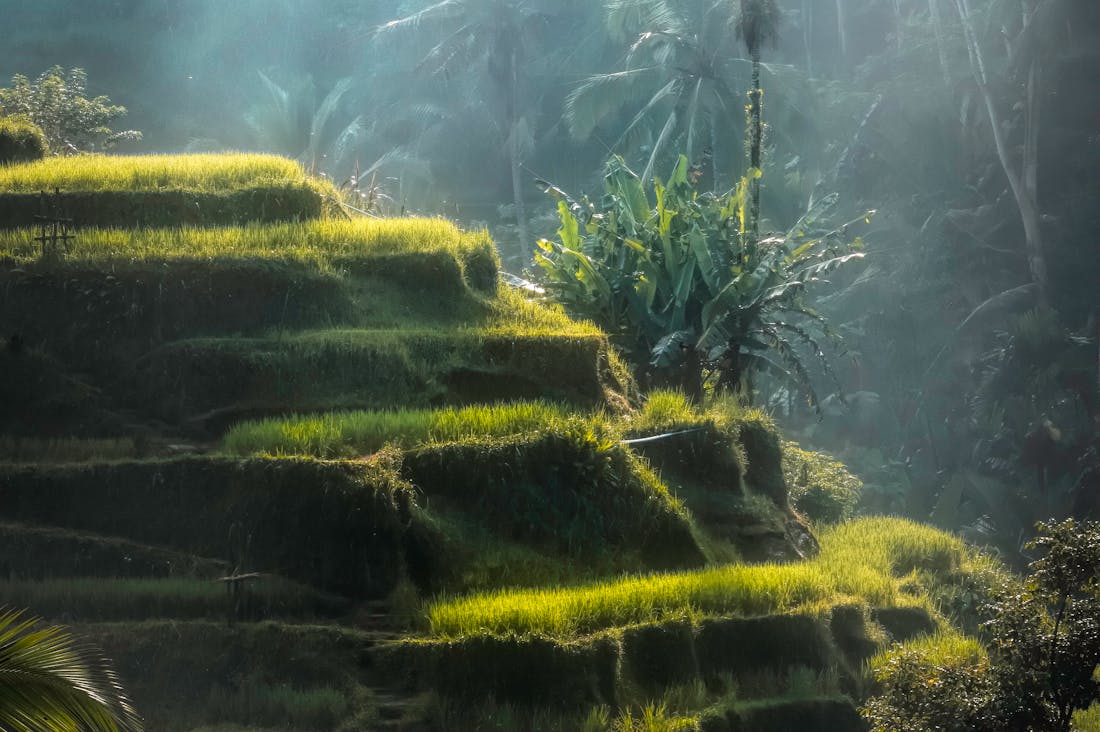 Innovative Tech Solutions for Sustainable Travel Experiences Image 1