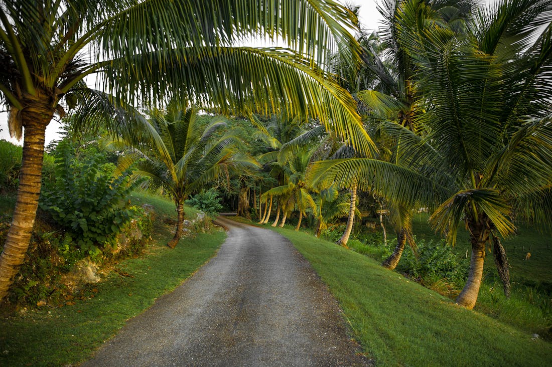 Ultimate Guide to Crafting Memorable Travel Experiences Image 1
