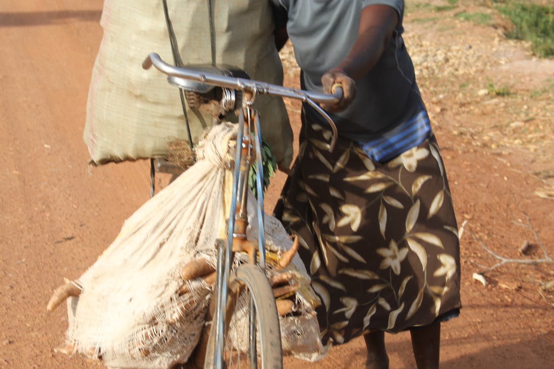 Traveling Sustainably: Tips for Eco-Conscious Adventurers Image 3