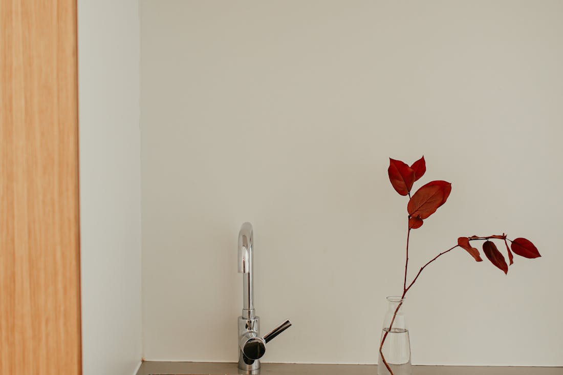 Lifestyle Trends Influencing Home Design and Decor Today Image 3
