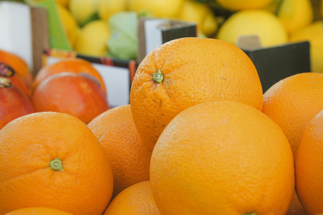 Essential Health Benefits of Integrating Plant-Based Meals into Your Diet Image 3