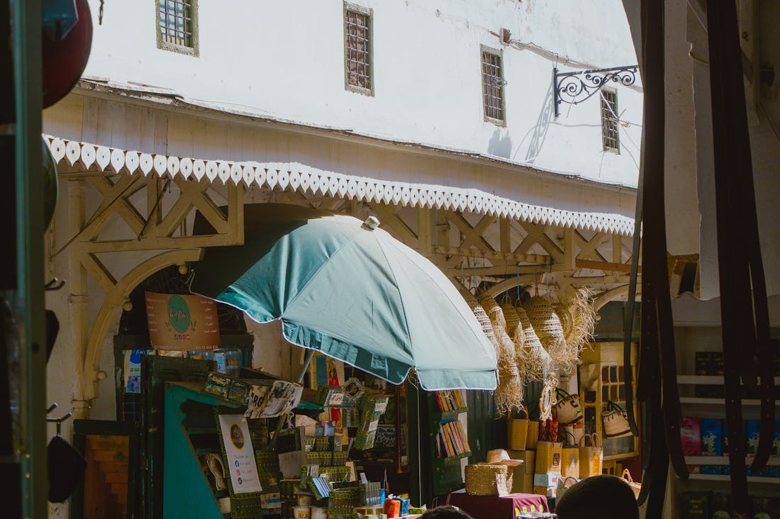 Essential Tips for Navigating the World of Eco-Friendly Travel Image 2