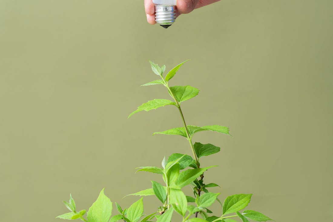 Awareness of Energy Costs: Smart Choices for Sustainable Living Image 3