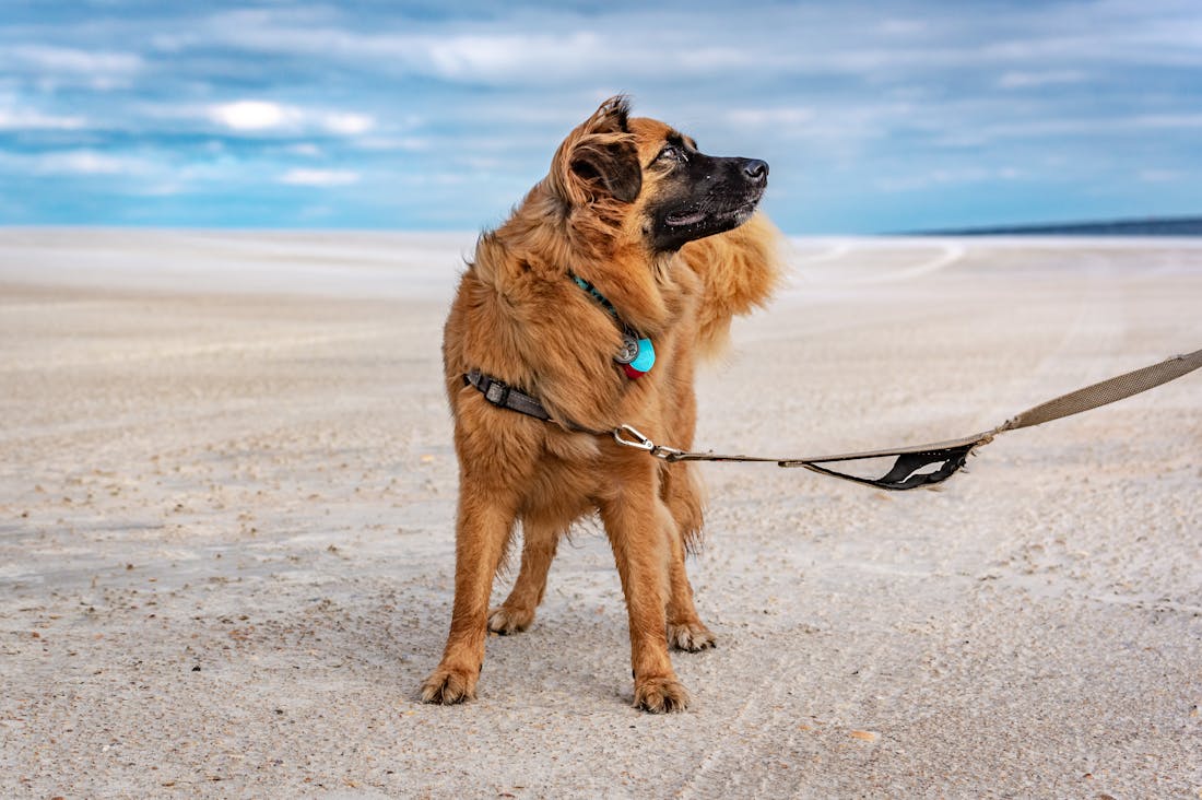 Travel Experiences that Foster Personal Growth and Connection Image 1