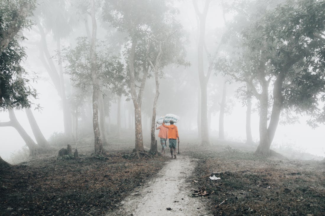 Ultimate Tips for Sustainable Travel You Can Start Now Image 2
