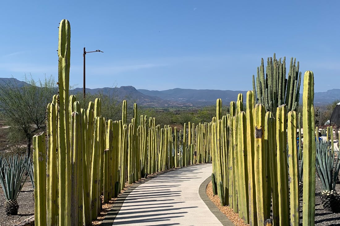 Adventurous Getaways for Weekend Travelers Seeking New Experiences Image 2
