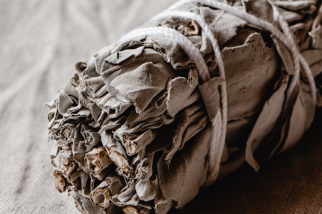Crafting Sustainable Living: Practical Steps for Eco-Conscious Lifestyles Image 2