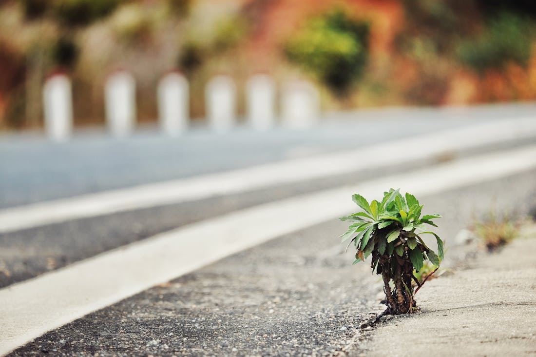 Effective Strategies for Maintaining a Healthy Work-Life Balance in a Hectic World Image 1