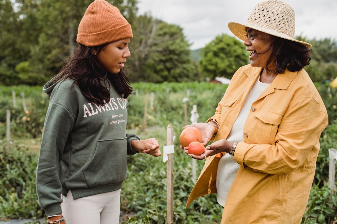 Organic Gardening: Promoting Health and Harmony in Your Backyard Image 2