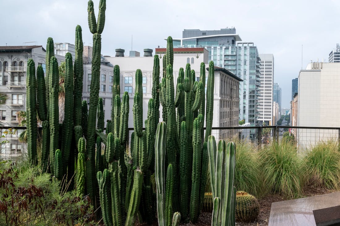 Navigating the Future of Travel: Sustainable Practices and Innovative Trends in Tourism Image 1