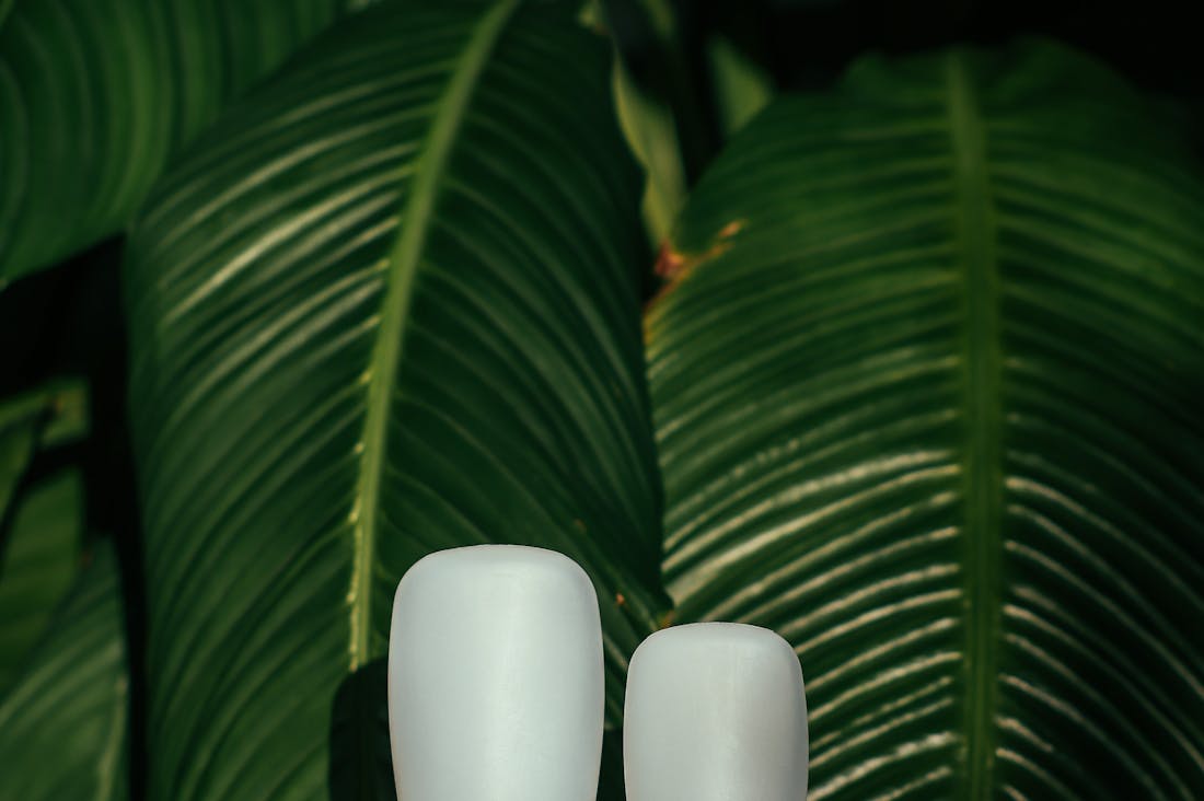 Sustainable Living: Practical Tips to Reduce Your Carbon Footprint and Live a Healthier Life Image 3