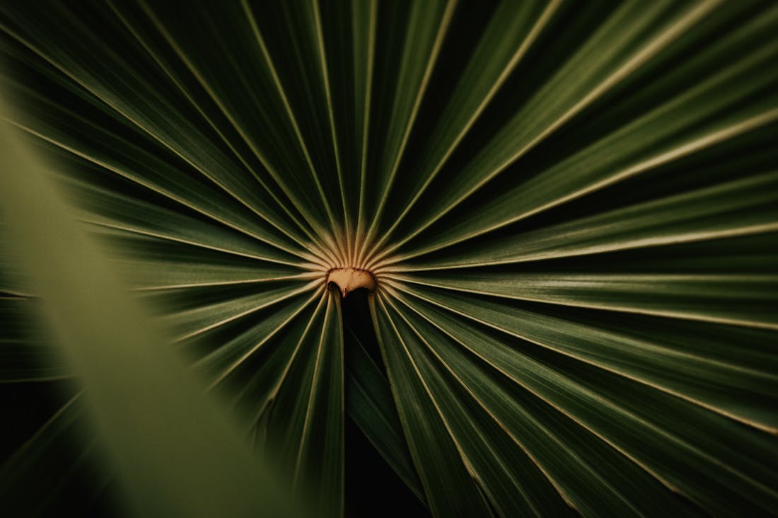 Guiding Principles for a Balanced Lifestyle and Well-Being Image 1