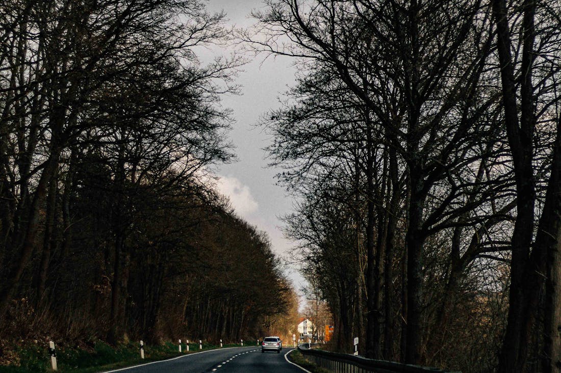 Impact of Electric Vehicles on Modern Transportation and Environmental Sustainability Image 2