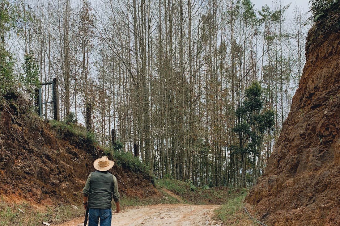 Travel Strategies for Effortless and Memorable Adventures Image 3