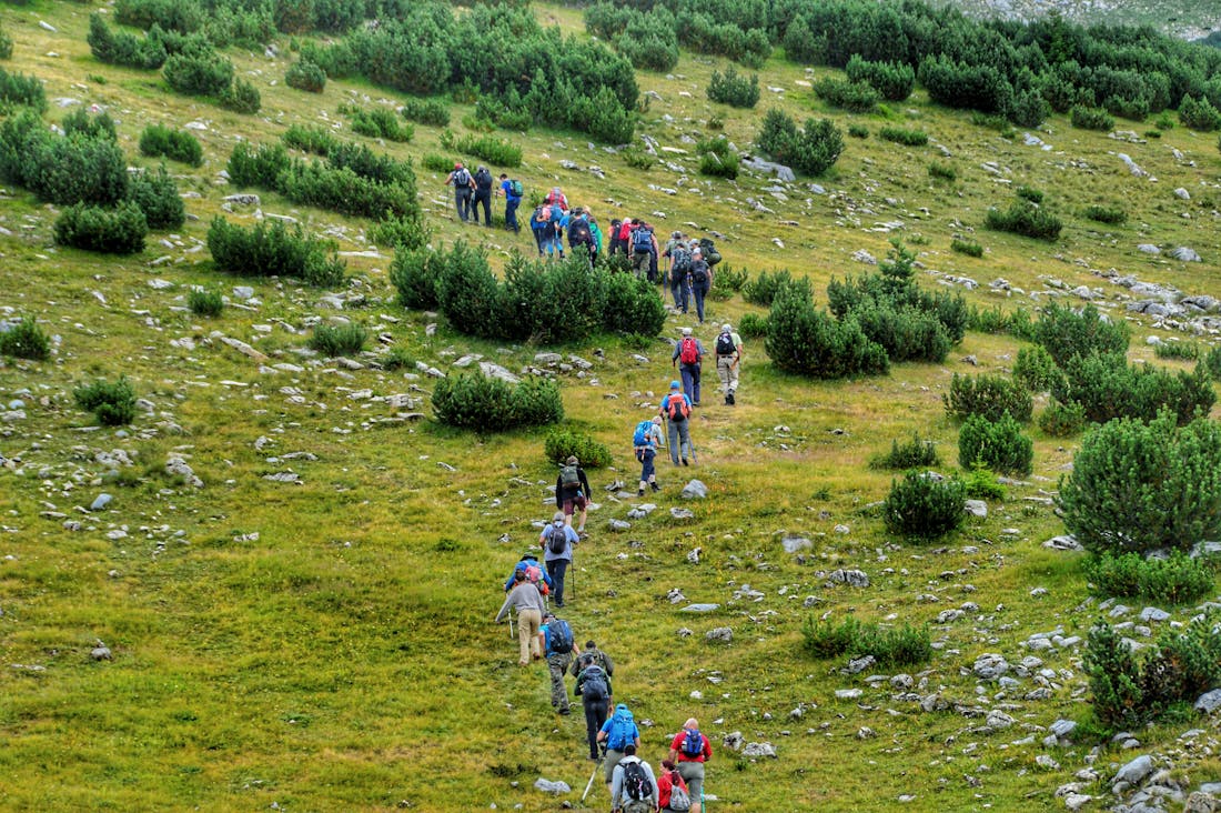 Exploring the Connection Between Mental Health and Travel: How New Environments Can Boost Your Well-Being Image 2