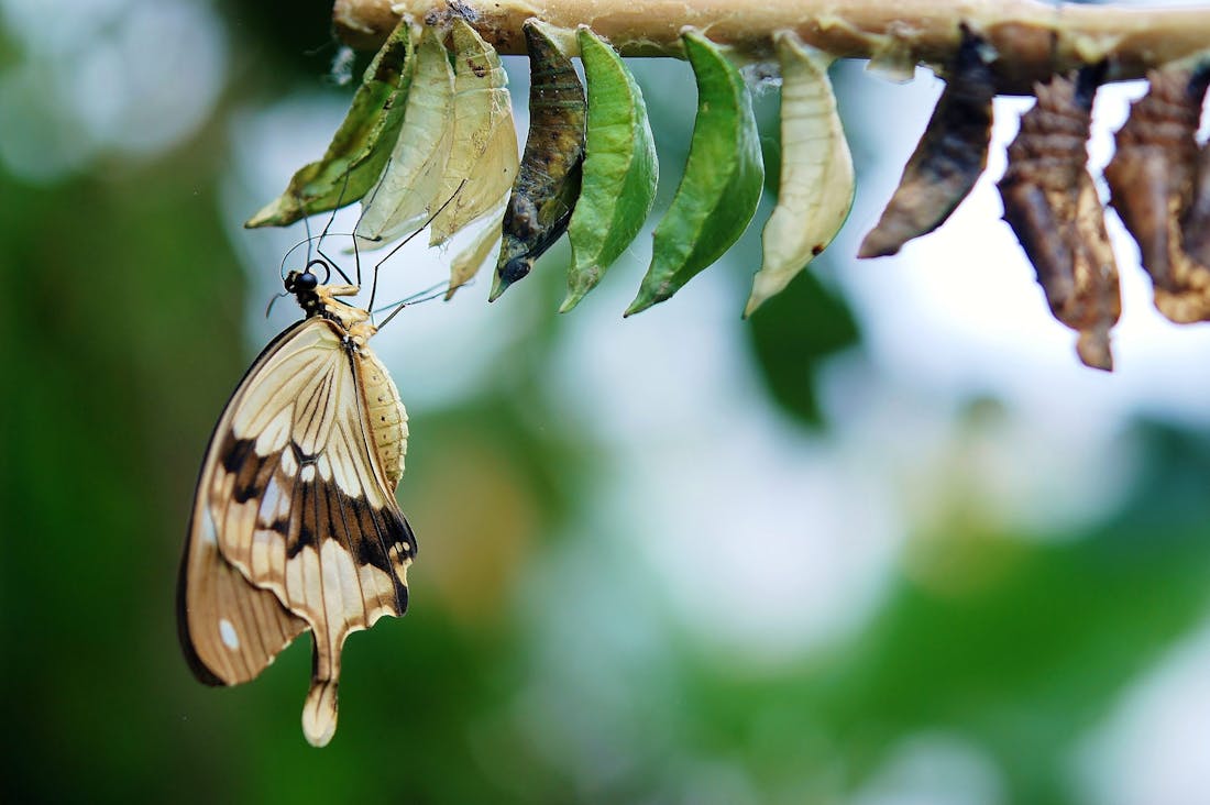 Navigating Change: How to Foster a Positive Mindset During Life Transitions Image 3