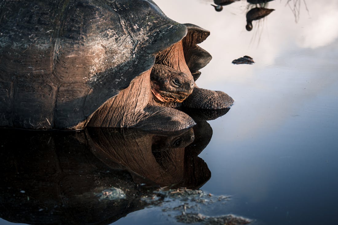 The Essential Guide to Mindful Travel: Discovering Serenity in Our Fast-Paced World Image 2