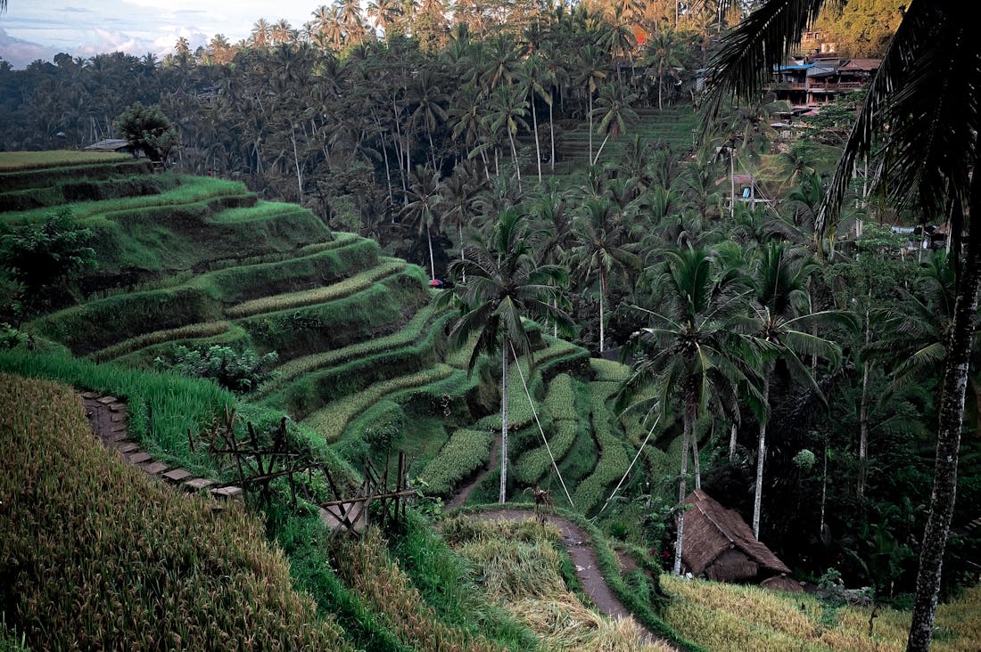 Exploring the Hidden Gems of Sustainable Travel: How to Reduce Your Carbon Footprint Image 1