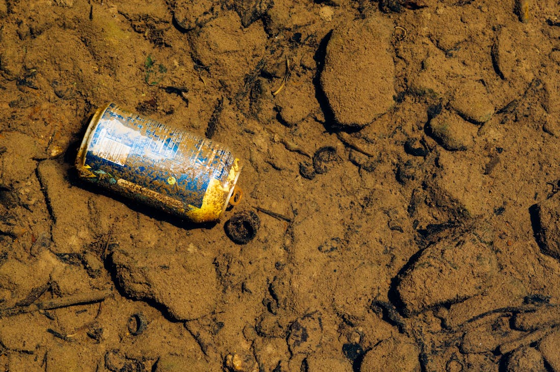 Living Sustainably: Practical Tips for an Eco-Friendly Lifestyle Image 3