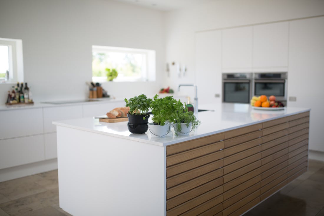 Mastering Home Essentials: From Organization Techniques to Sustainable Living Practices Image 1