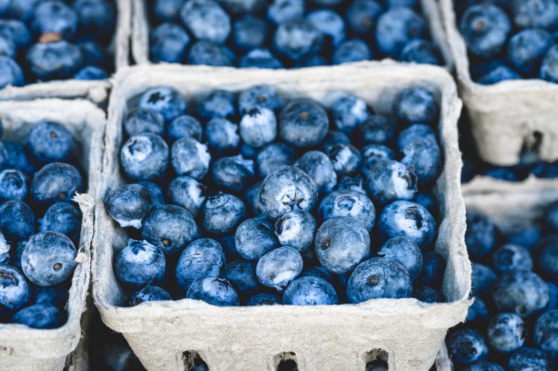 Impact of Nutrition on Mental Well-Being: Unveiling Connections Between Diet and Mood Image 2