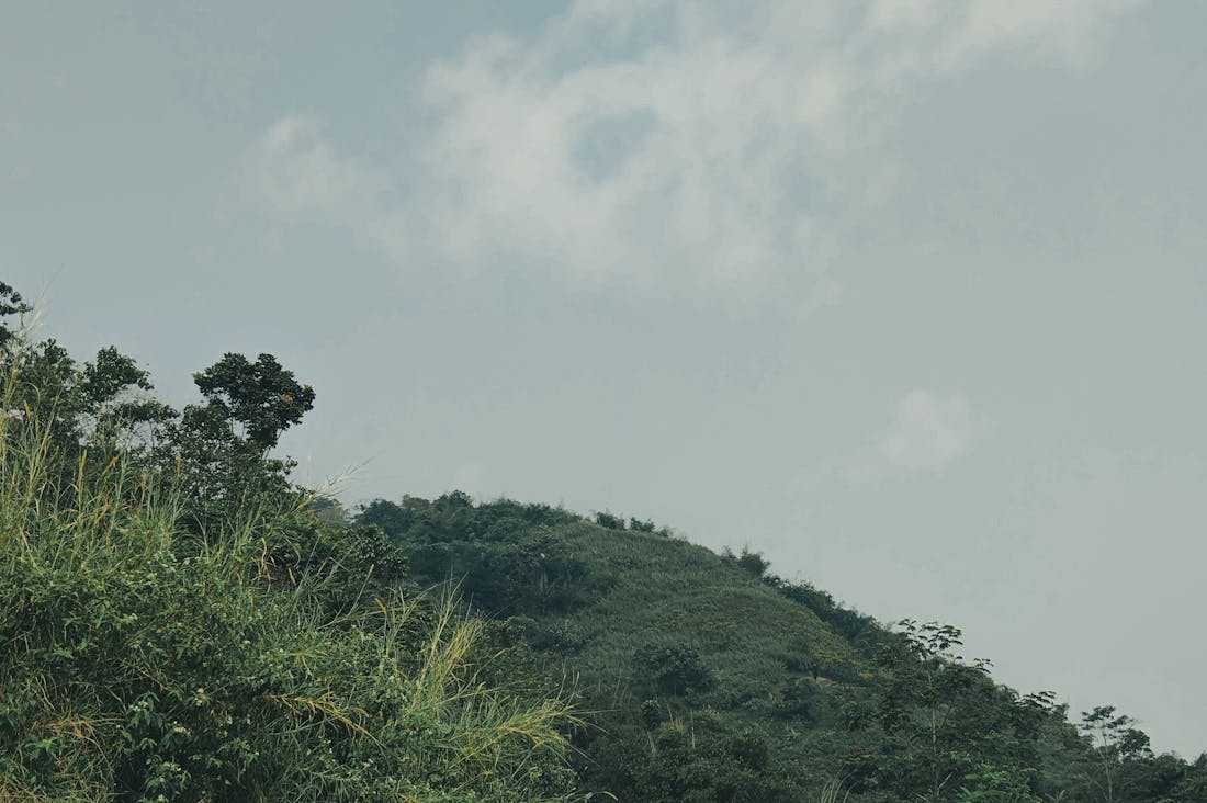 Ultimate Guide to Sustainable Travel for Mindful Explorers Image 1