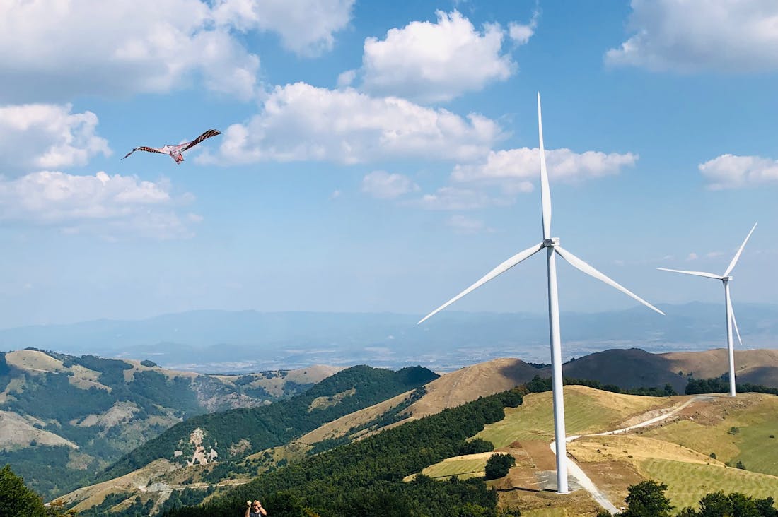 Traveling Sustainably: Tips to Reduce Your Environmental Impact While Exploring the World Image 1