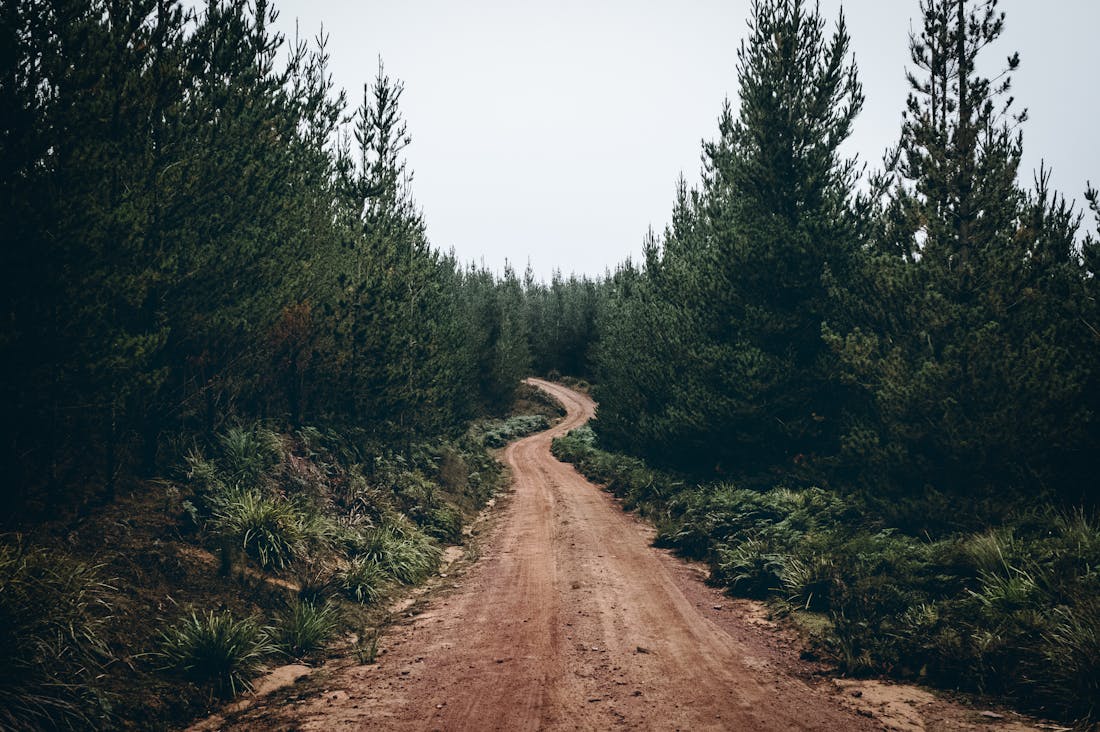 Traveling Sustainably: Tips to Reduce Your Environmental Impact While Exploring the World Image 2