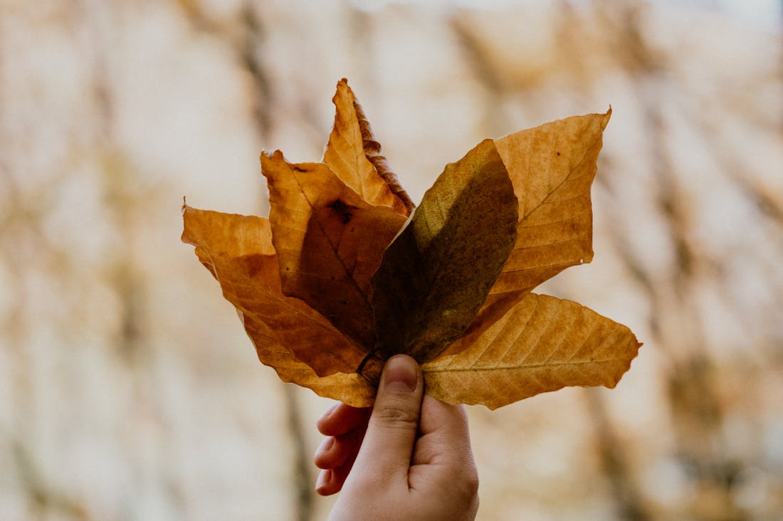Effective Techniques for Reducing Stress and Improving Your Daily Life Image 2