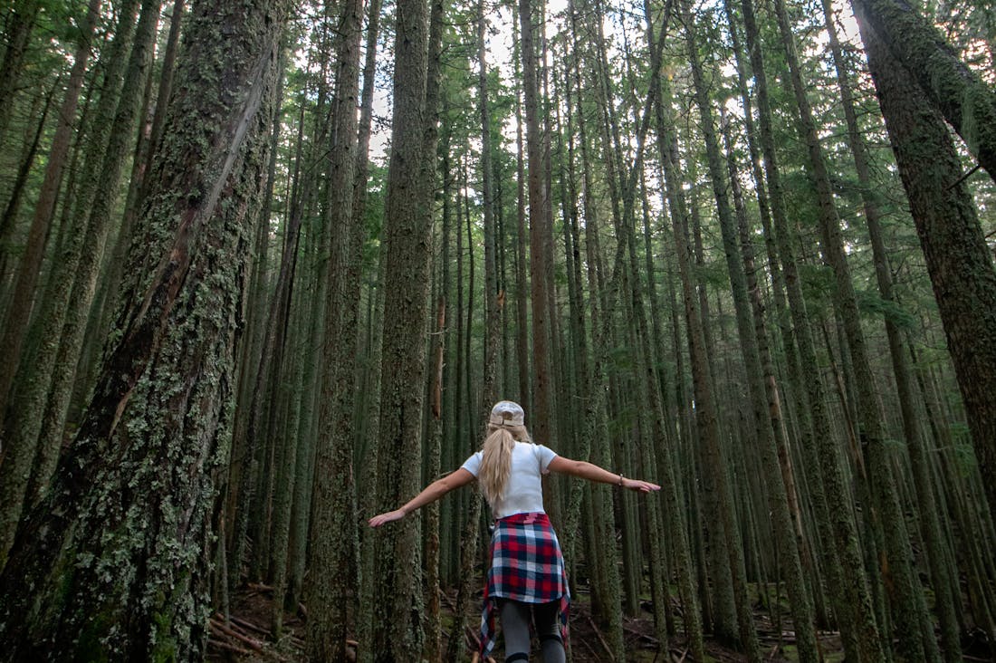 Maximizing Travel Experiences with Sustainable Practices and Smart Choices Image 3