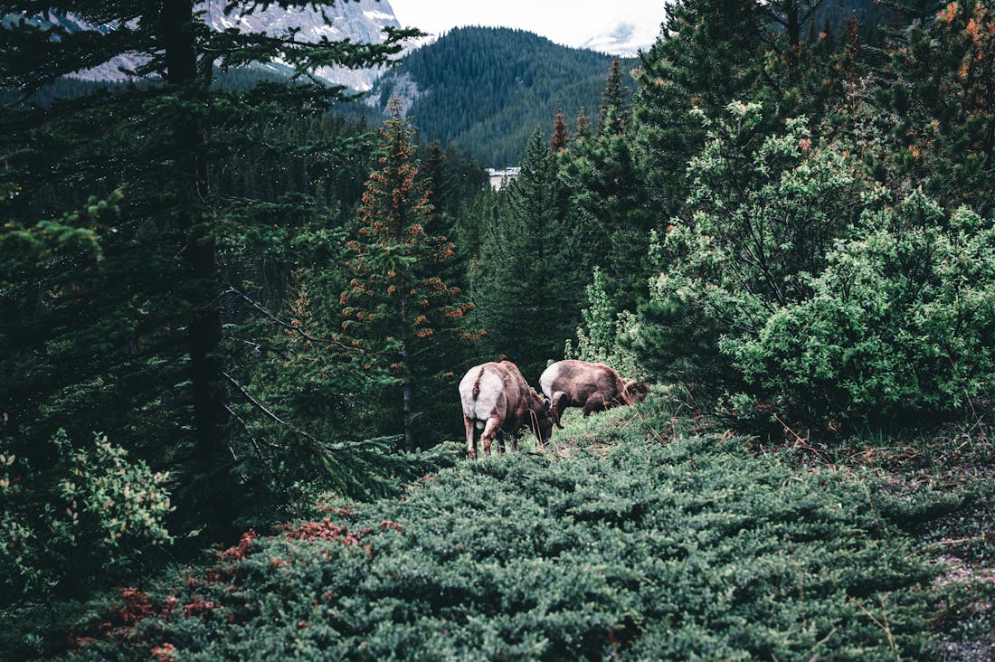 Practical Insights for Sustainable Travel Without Overspending Image 3