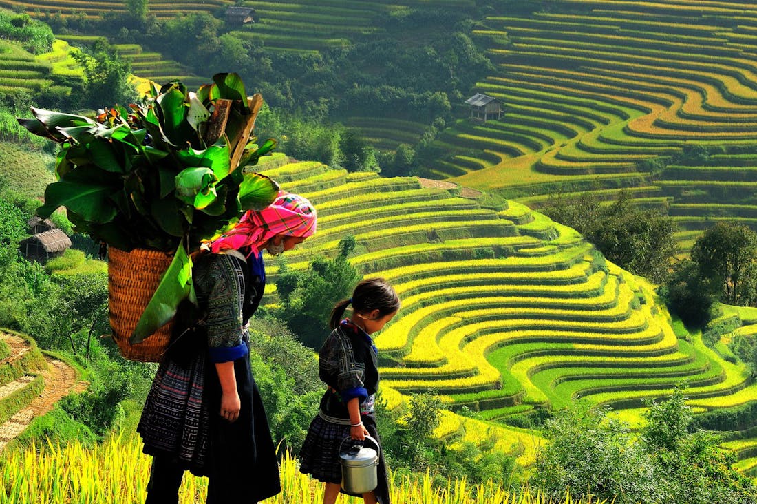 Unique Travel Experiences That Ignite a Sense of Adventure Image 1