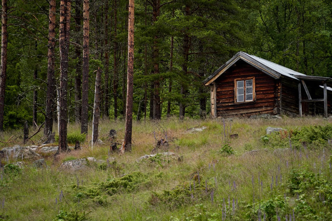 Unique Travel Experiences That Ignite a Sense of Adventure Image 2