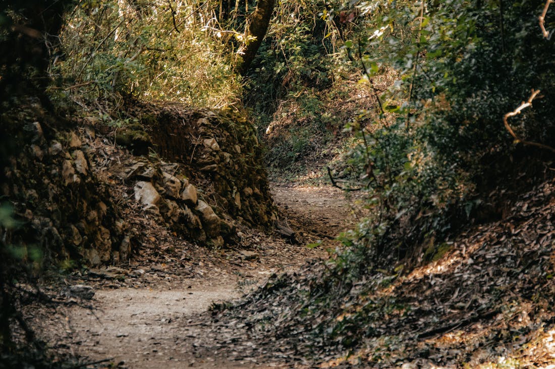 Innovative Travel Hacks for Savvy Explorers Seeking Unique Experiences Image 1
