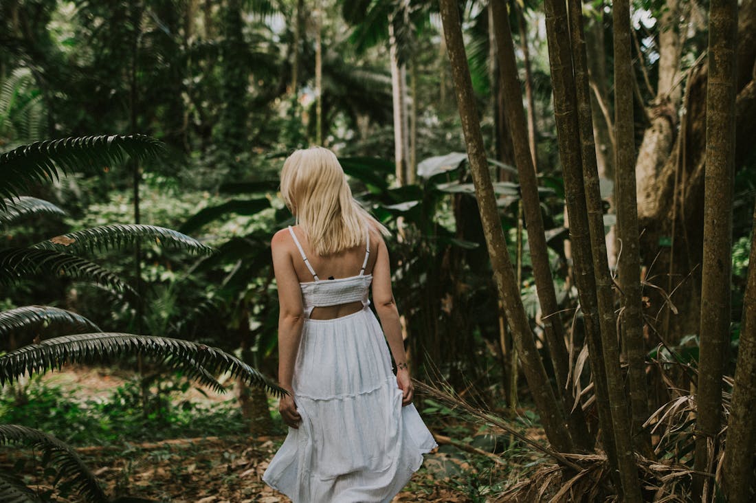 Sustainable Living Choices: Simple Steps Towards an Eco-Friendly Lifestyle Image 3